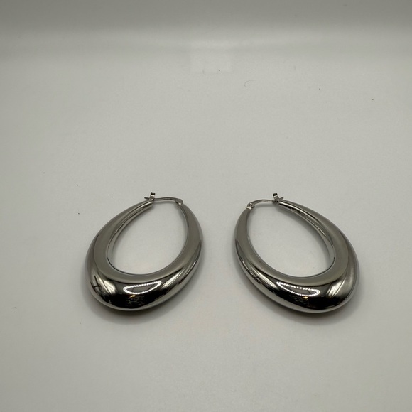 Stainless Steel Polished Hoop Earrings - Picture 1 of 3